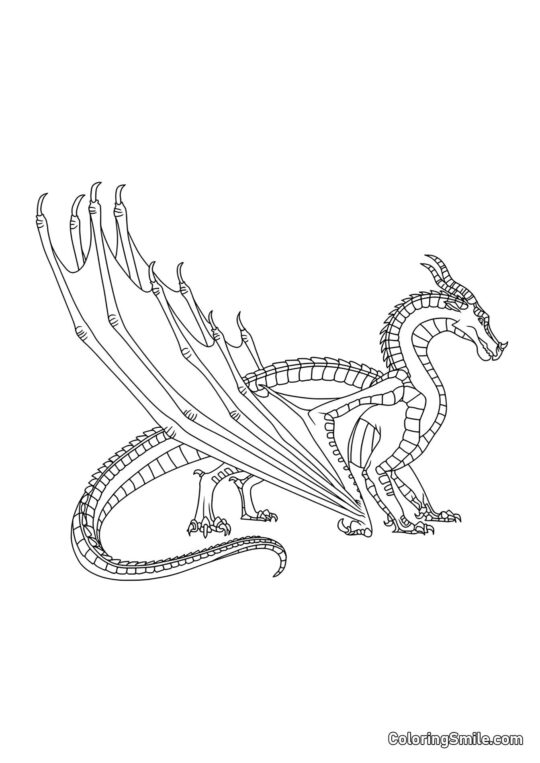 Чорний дракон - Розмальовка