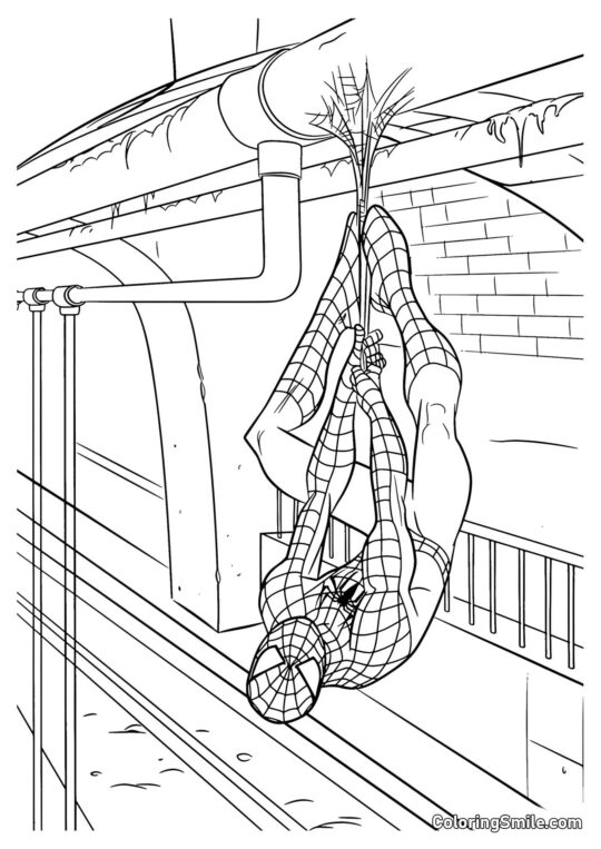 Новий Людина-Павук - Розмальовка