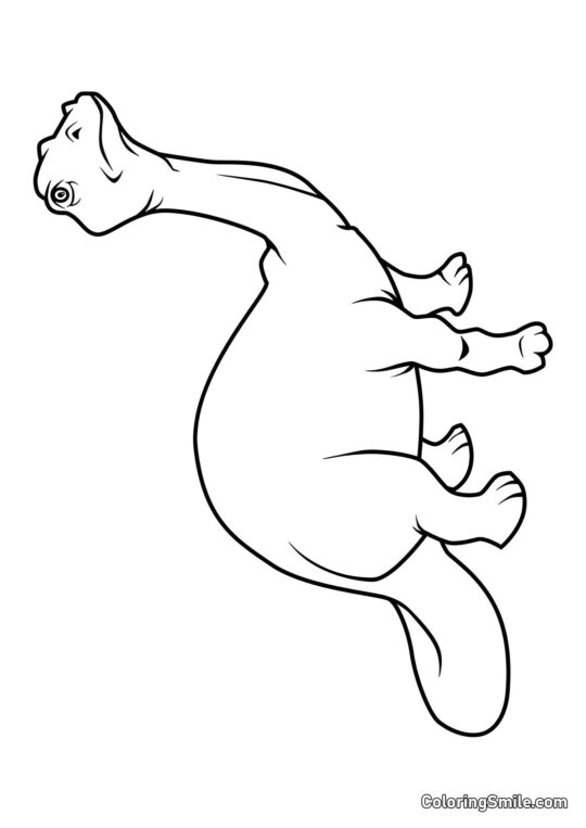 Бронтозавр - Розмальовка