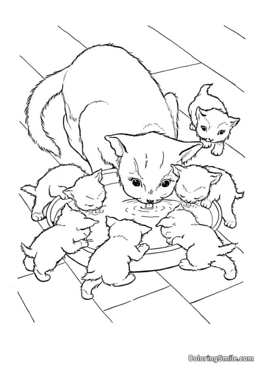Кішка та шість кошенят Кішка та шість кошенят - Розмальовка