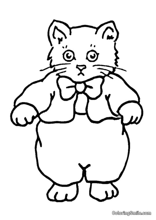 Кошеня в светрі Кошеня в светрі - Розмальовка