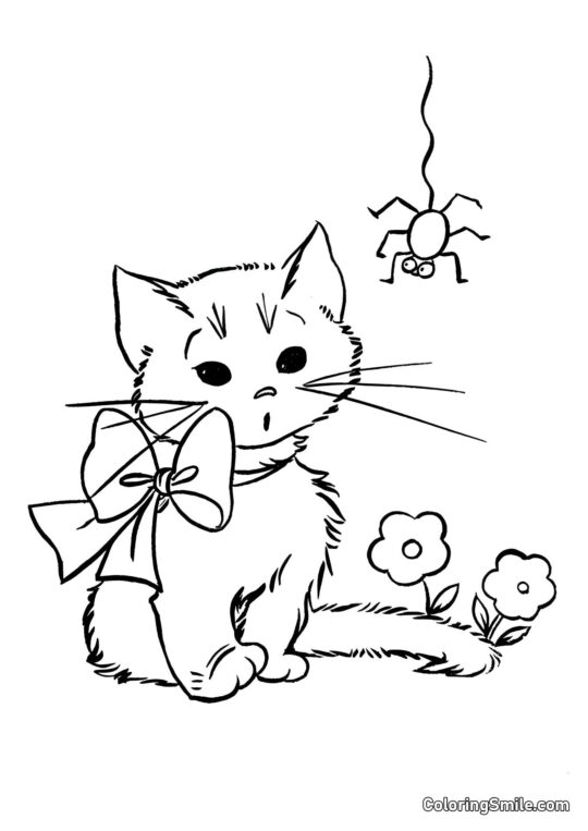 Кошеня та павук Кошеня та павук - Розмальовка