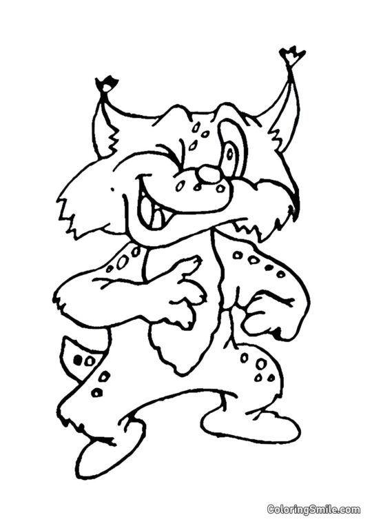 Бандитська кішка Бандитська кішка - Розмальовка