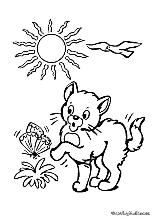 Кішка та метелик Кішка та метелик - Розмальовка