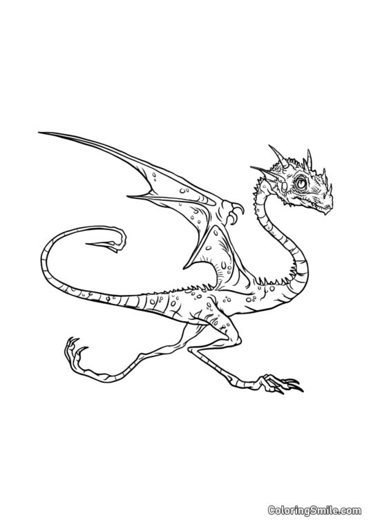 Норберт – дракон Хагріда - Розмальовка