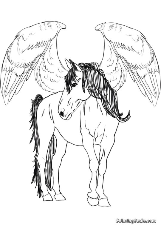 Крилатий Пегас Крилатий Пегас - Розмальовка