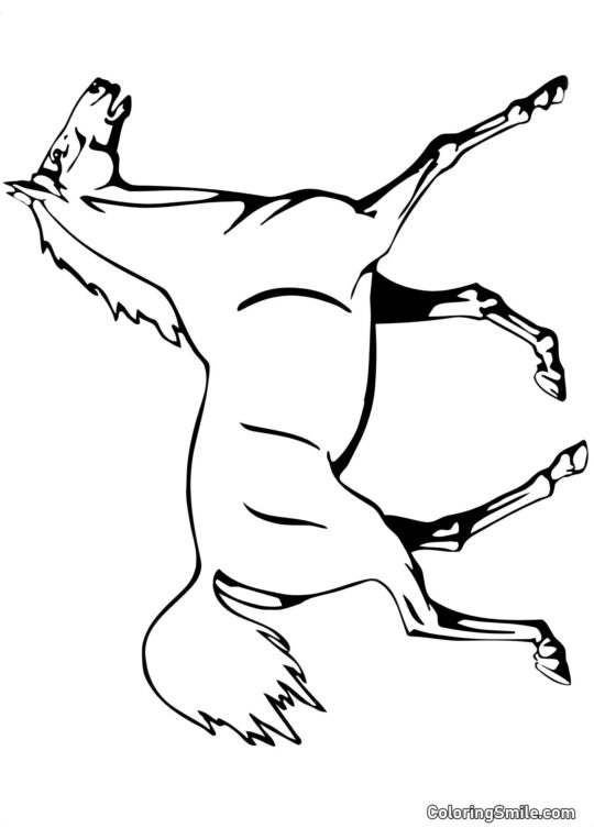 Кінь на шоу Кінь на шоу - Розмальовка