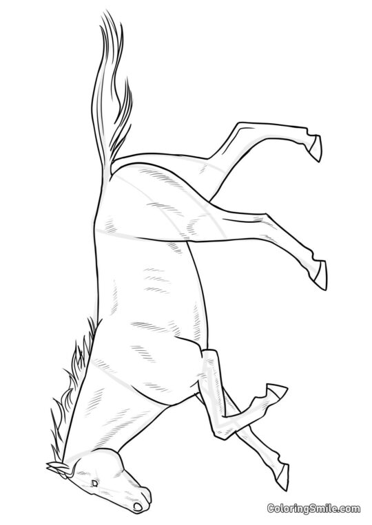 Граціозний кінь Граціозний кінь - Розмальовка