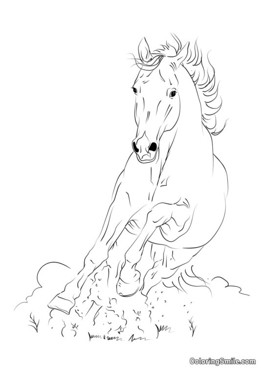 Літати, як вітер, кінь Літати, як вітер, кінь - Розмальовка